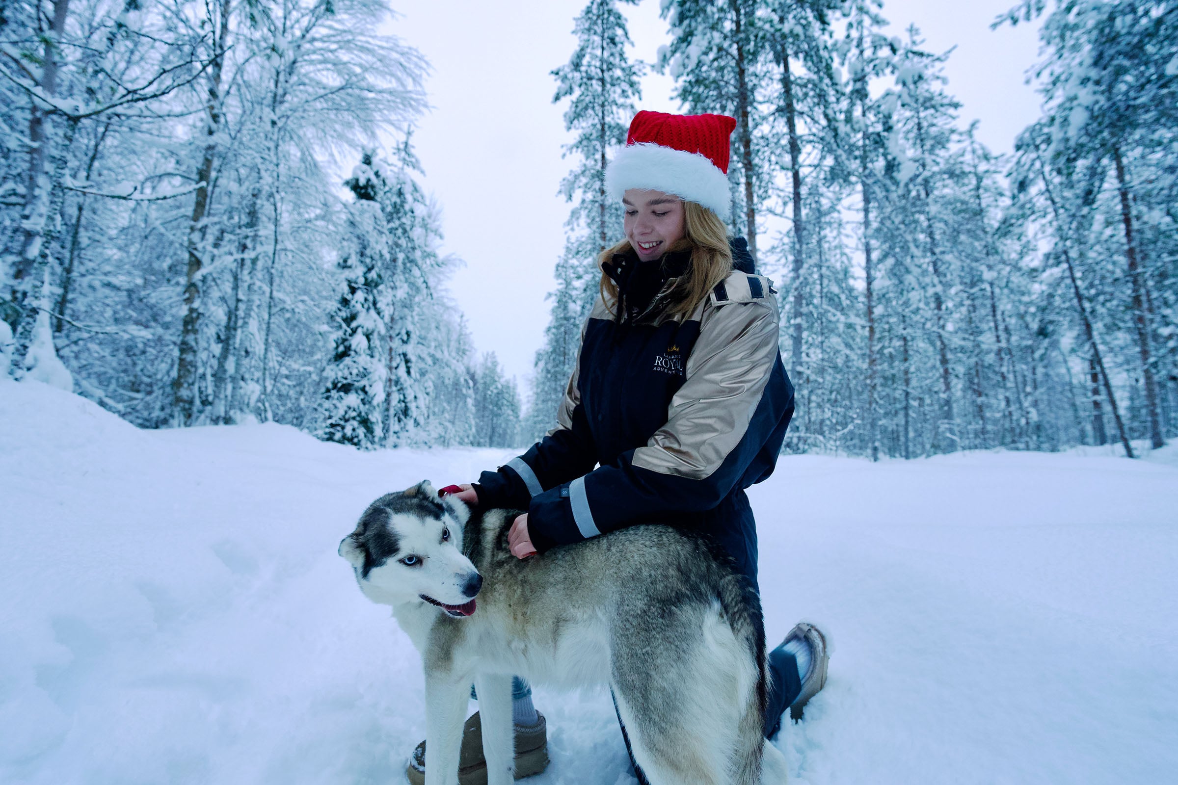 Husky rides and farm visits offered in Rovaniemi