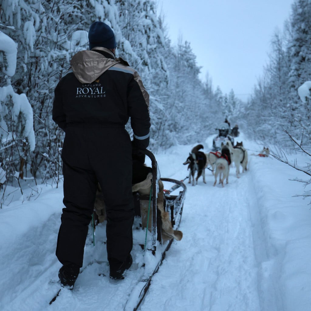 Lapland Royal Adventures offers variety of husky tours in Rovaniemi