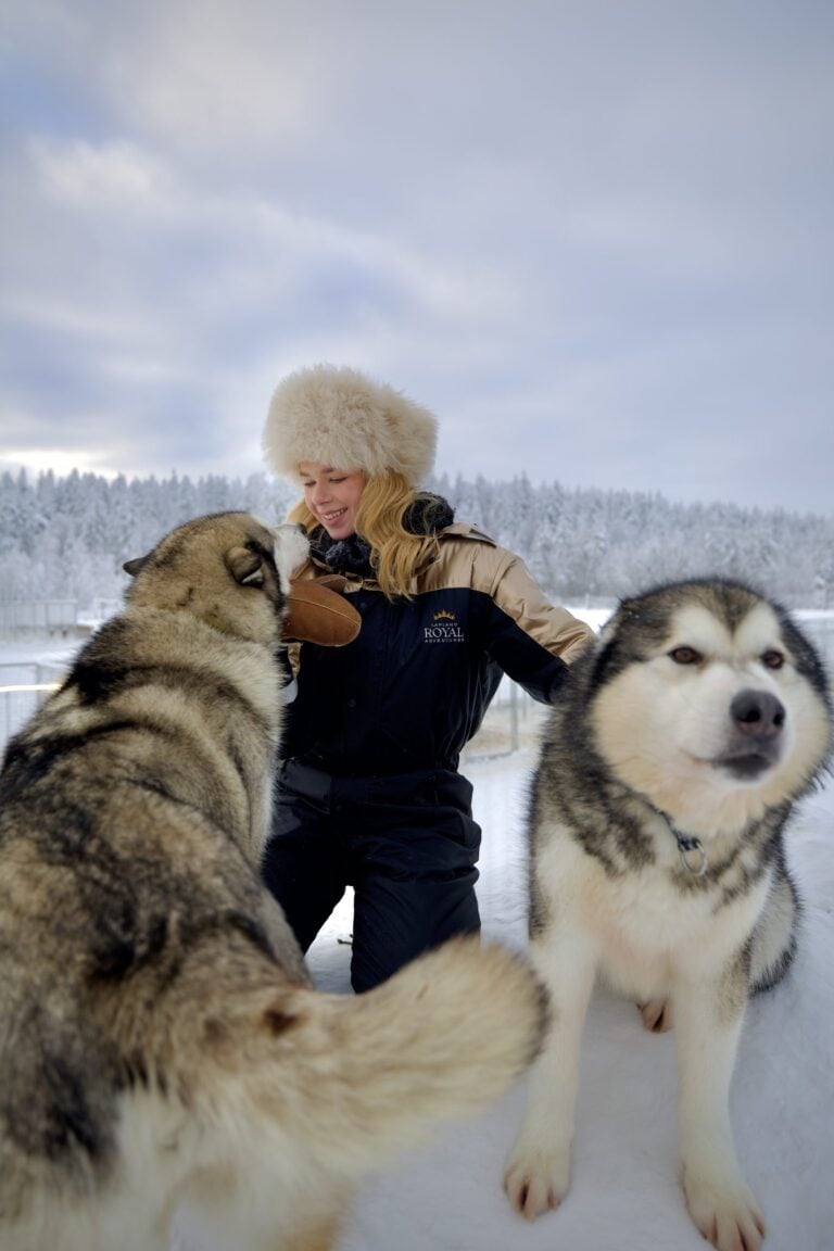 Husky Tours
