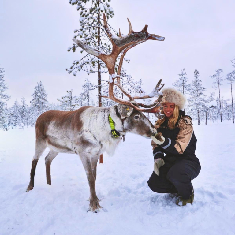 Reindeer Tours