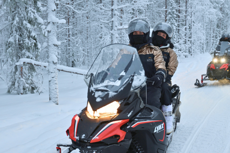 Snowmobile Tours